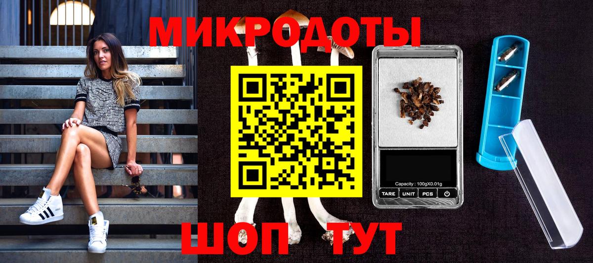 Ростов Великий  Галлюциногенные грибы MAGIC MUSHROOMS  Вход с VPN 