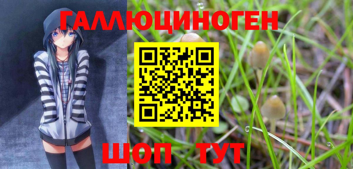 Галлюциногенные грибы Magic Shrooms Ростов Великий